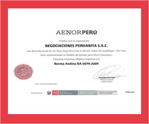 Modelo de Gestion para Micro Empresas y Pequeña Empresas
