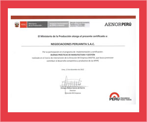 Buenas Practica de Manufactura y Gestion